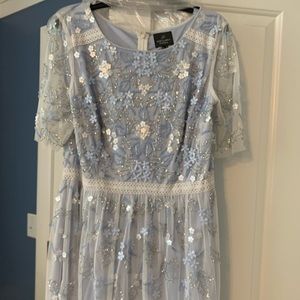 Adrianna Papell “Frozen” formal gown size 16